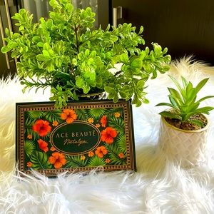 ACE BEAUTE - Nostalgia ( EYESHADOW)